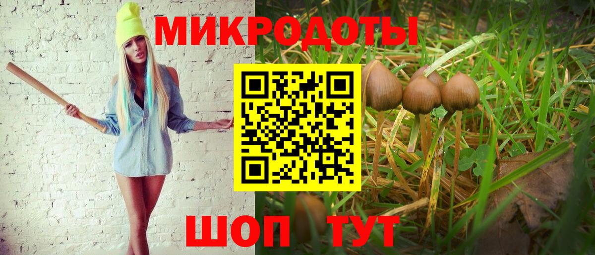 Псилоцибиновые грибы Psilocybine cubensis Кызыл
