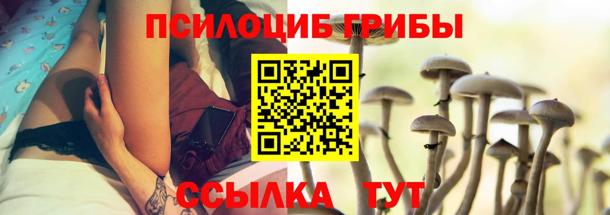 Кызыл  Галлюциногенные грибы Cubensis  Галлюциногенные грибы ЛСД  Вход с VPN 